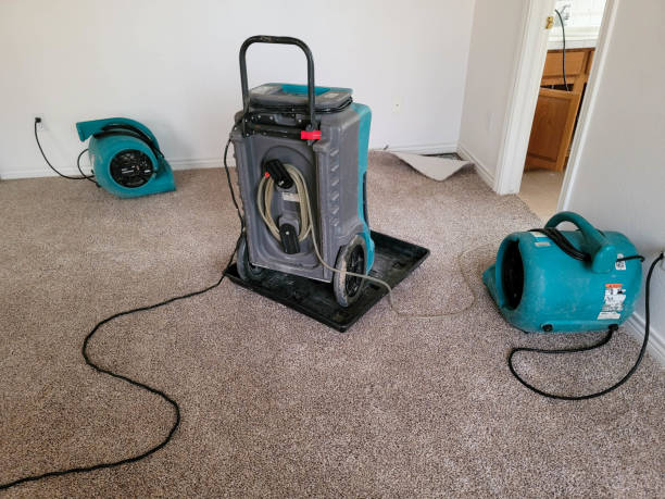 Best Water damage restoration near me  in Snow Hill, NC