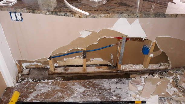 Best Mold removal after water damage  in Snow Hill, NC