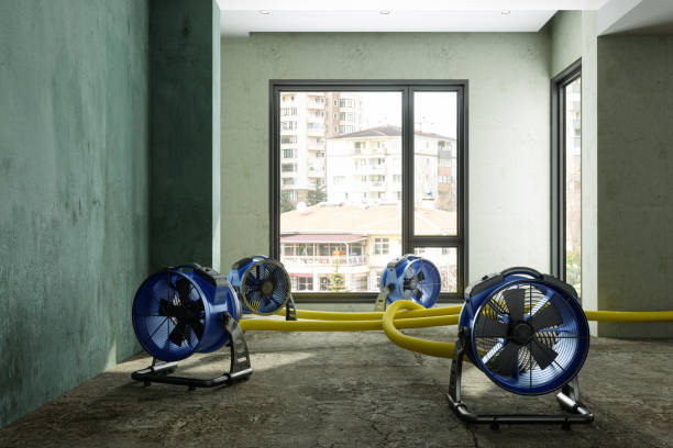 Best Water damage restoration cost  in Snow Hill, NC